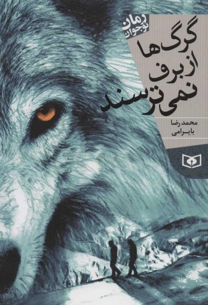 کتاب رمان نوجوان12 (گرگ ها از برف نمی ترسند)