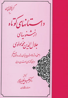 کتاب داستانهای کوتاه از مثنویهای جلال الدین محمد مولوی (گزینه سخن پارسی10)