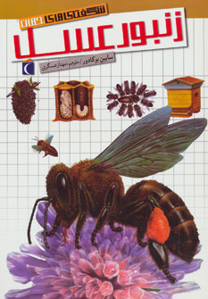 کتاب شگفتی های جهان (زنبور عسل)