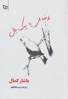کتاب پرنده ای با یک بال