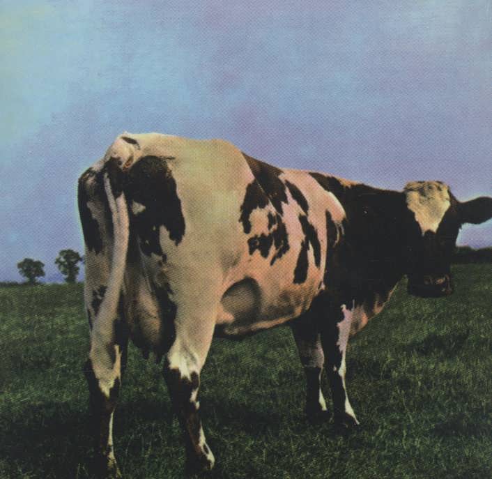 کتاب مادر قلب اتمی (Pink Floyd،Atom Heart Mother)،(سی دی صوتی)