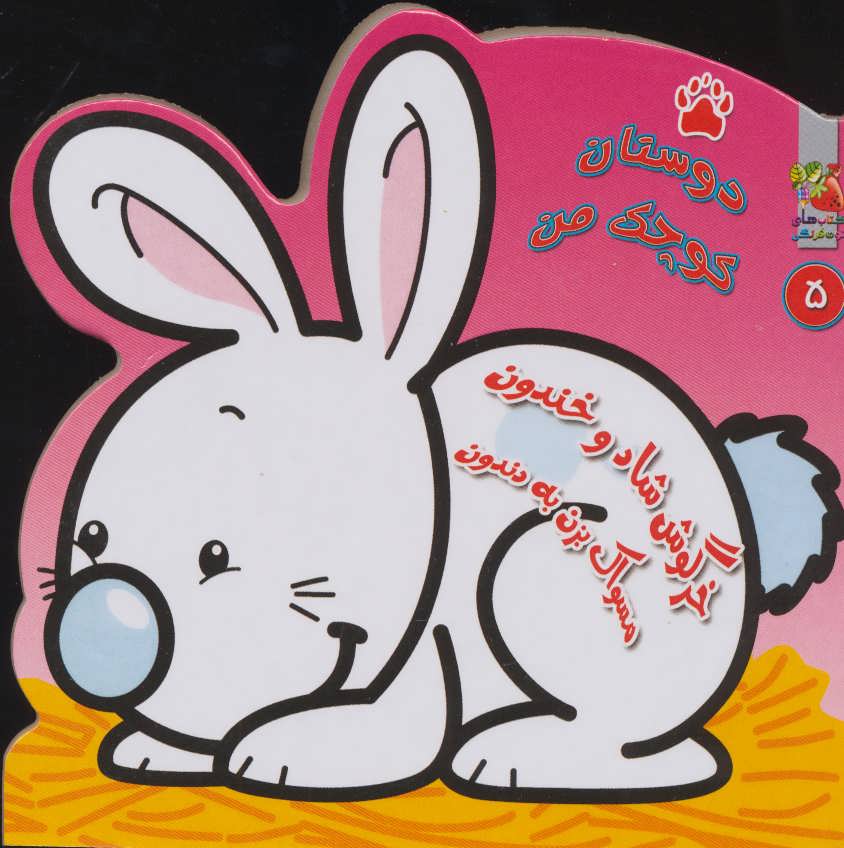 کتاب دوستان کوچک من 5 خرگوش شاد و خندون