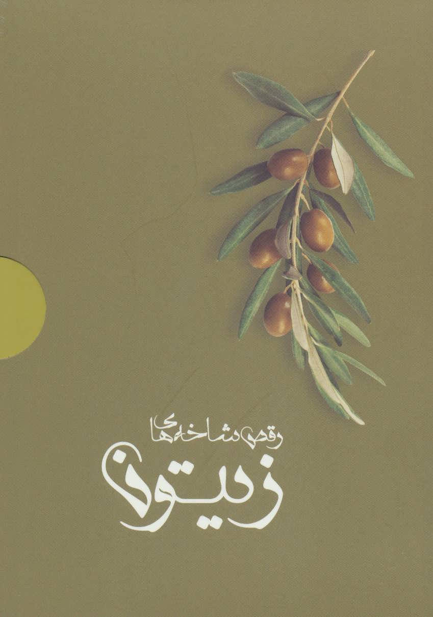 کتاب رقص شاخه های زیتون (4جلدی،باجعبه)