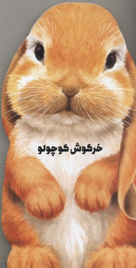 کتاب خرگوش کوچولو(مقوایی)