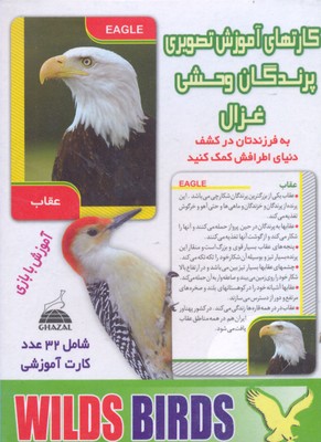 کتاب کارتهای آموزش تصویری(پرندگان وحشی)