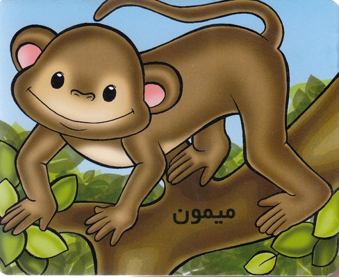 کتاب آموز خردسال میمون