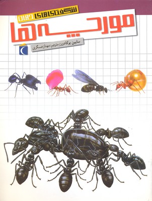 کتاب شگفتی های جهان(مورچه ها)