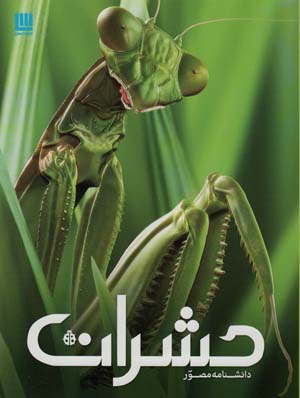 کتاب دانشنامه مصور حشرات